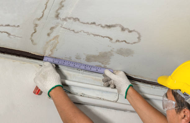 Reliable Water Damage contractor in Holly Springs, NC by Water Damage Irwin